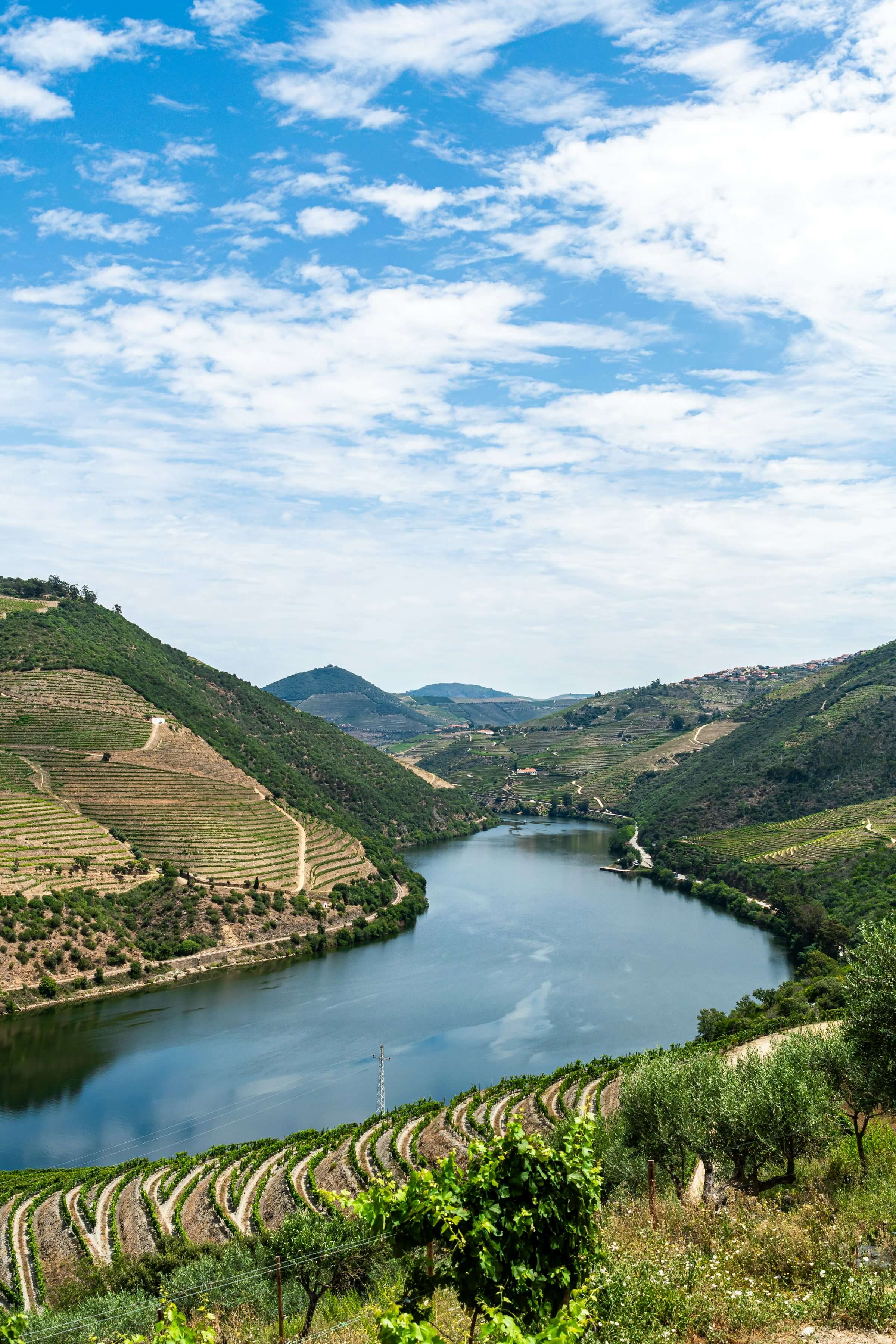 Douro Valley wine tour